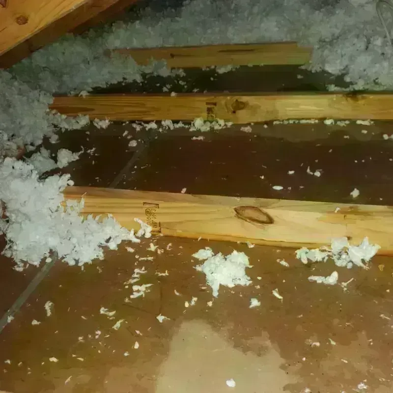 Attic Water Damage in Mount Pleasant, NC