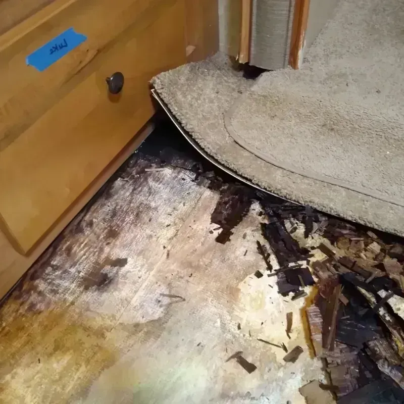 Best Wood Floor Water Damage Service in Mount Pleasant, NC